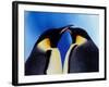 Emperor Penguin Pair, Antarctica-Art Wolfe-Framed Photographic Print