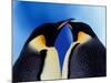 Emperor Penguin Pair, Antarctica-Art Wolfe-Mounted Photographic Print