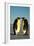 Emperor Penguin Pair Facing Each Other-null-Framed Photographic Print