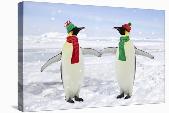 Emperor Penguin Pair Holding Hands Wearing Christmas-null-Stretched Canvas