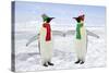 Emperor Penguin Pair Holding Hands Wearing Christmas-null-Stretched Canvas