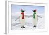 Emperor Penguin Pair Holding Hands Wearing Christmas-null-Framed Photographic Print