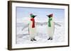 Emperor Penguin Pair Holding Hands Wearing Christmas-null-Framed Photographic Print