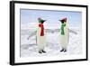 Emperor Penguin Pair Holding Hands Wearing Christmas-null-Framed Photographic Print