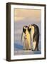Emperor Penguin Parents with Baby-DLILLC-Framed Premium Photographic Print