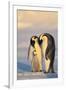 Emperor Penguin Parents with Baby-DLILLC-Framed Premium Photographic Print