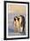 Emperor Penguin Parents with Baby-DLILLC-Framed Photographic Print