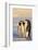 Emperor Penguin Parents with Baby-DLILLC-Framed Photographic Print