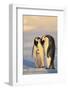 Emperor Penguin Parents with Baby-DLILLC-Framed Photographic Print