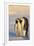 Emperor Penguin Parents with Baby-DLILLC-Framed Photographic Print