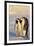 Emperor Penguin Parents with Baby-DLILLC-Framed Photographic Print