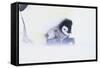 Emperor Penguin Protecting Offspring from the Cold-DLILLC-Framed Stretched Canvas