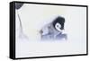 Emperor Penguin Protecting Offspring from the Cold-DLILLC-Framed Stretched Canvas