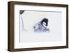 Emperor Penguin Protecting Offspring from the Cold-DLILLC-Framed Photographic Print