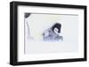 Emperor Penguin Protecting Offspring from the Cold-DLILLC-Framed Photographic Print