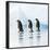 Emperor Penguin, Three Adults Walking across Ice-null-Framed Photographic Print