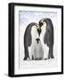 Emperor Penguin, Two Adults with Chick-null-Framed Photographic Print