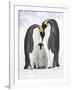 Emperor Penguin, Two Adults with Chick-null-Framed Photographic Print