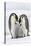 Emperor Penguin, Two Adults with Two Chicks-null-Stretched Canvas