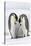 Emperor Penguin, Two Adults with Two Chicks-null-Stretched Canvas