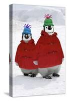 Emperor Penguin, Two Chicks Wearing Woolly Hats-null-Stretched Canvas