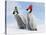 Emperor Penguin, Two Chicks with Woolly Hats-null-Stretched Canvas