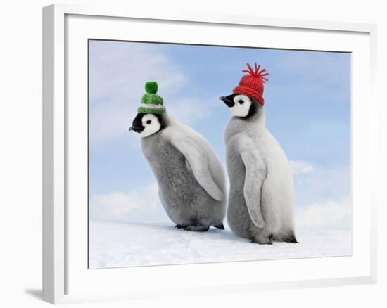 Emperor Penguin, Two Chicks with Woolly Hats-null-Framed Photographic Print