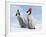 Emperor Penguin, Two Chicks with Woolly Hats-null-Framed Photographic Print