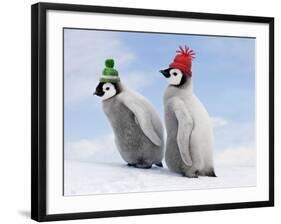 Emperor Penguin, Two Chicks with Woolly Hats-null-Framed Photographic Print