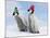 Emperor Penguin, Two Chicks with Woolly Hats-null-Mounted Photographic Print