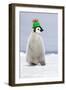 Emperor Penguin Wearing Woolly Hat-null-Framed Photographic Print