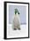 Emperor Penguin Wearing Woolly Hat-null-Framed Photographic Print