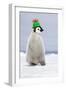 Emperor Penguin Wearing Woolly Hat-null-Framed Photographic Print