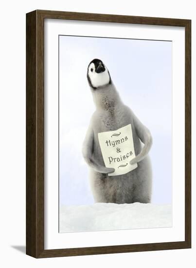 Emperor Penguin, Young Singing from Hymn Sheet-null-Framed Photographic Print