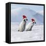 Emperor Penguins, 2 Young Ones Walking in a Line-null-Framed Stretched Canvas