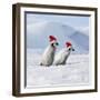 Emperor Penguins, 2 Young Ones Walking in a Line-null-Framed Photographic Print
