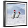 Emperor Penguins, 2 Young Ones Walking in a Line-null-Framed Photographic Print