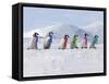 Emperor Penguins, 4 Young Ones Walking in a Line-null-Framed Stretched Canvas