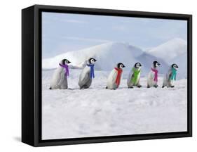 Emperor Penguins, 4 Young Ones Walking in a Line-null-Framed Stretched Canvas