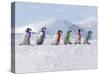 Emperor Penguins, 4 Young Ones Walking in a Line-null-Stretched Canvas