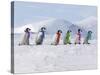 Emperor Penguins, 4 Young Ones Walking in a Line-null-Stretched Canvas