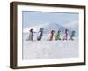 Emperor Penguins, 4 Young Ones Walking in a Line-null-Framed Photographic Print