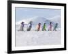 Emperor Penguins, 4 Young Ones Walking in a Line-null-Framed Photographic Print