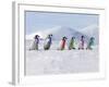 Emperor Penguins, 4 Young Ones Walking in a Line-null-Framed Photographic Print