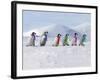 Emperor Penguins, 4 Young Ones Walking in a Line-null-Framed Photographic Print