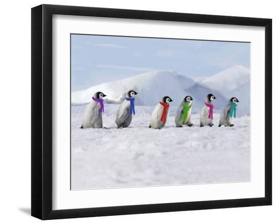 Premium Photographic Print, , large