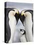 Emperor Penguins and Chick in Antarctica-Paul Souders-Stretched Canvas