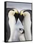 Emperor Penguins and Chick in Antarctica-Paul Souders-Framed Stretched Canvas