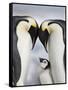 Emperor Penguins and Chick in Antarctica-Paul Souders-Framed Stretched Canvas