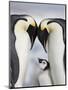 Emperor Penguins and Chick in Antarctica-Paul Souders-Mounted Premium Photographic Print